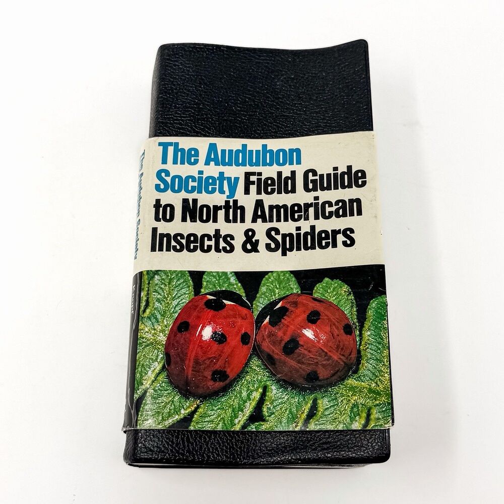 The Audubon Society Field Guide To North American Insects And Spiders